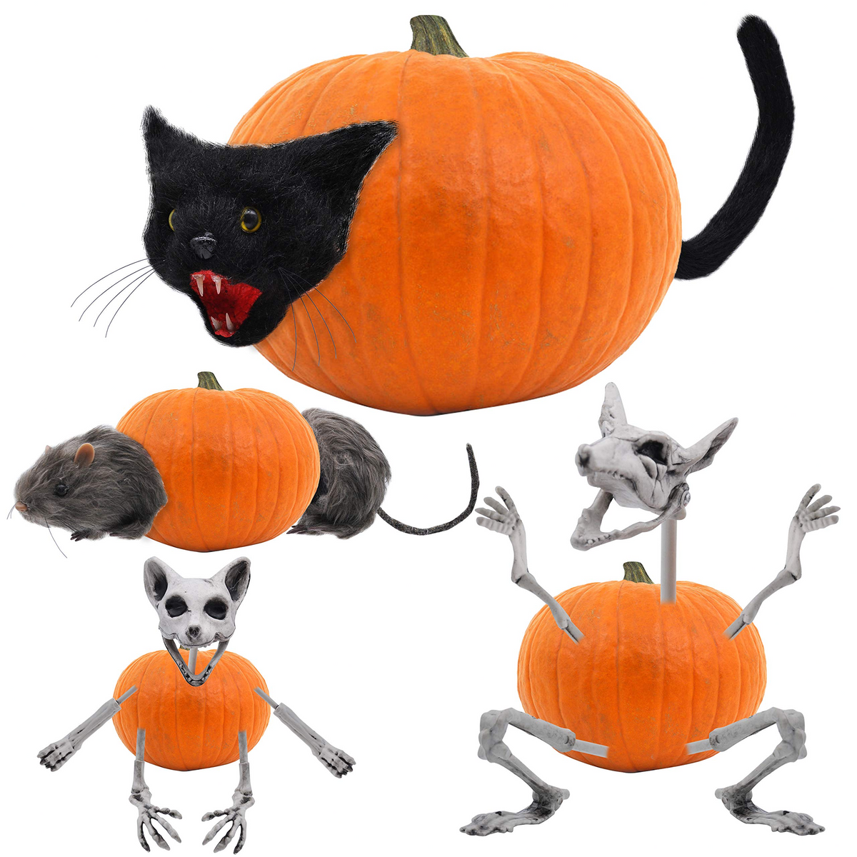 The Holiday Aisle® 6 Piece Halloween Rat Decorative Accent